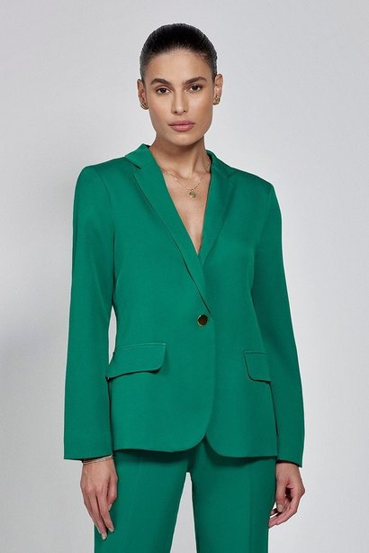 blazer verde tanise capa